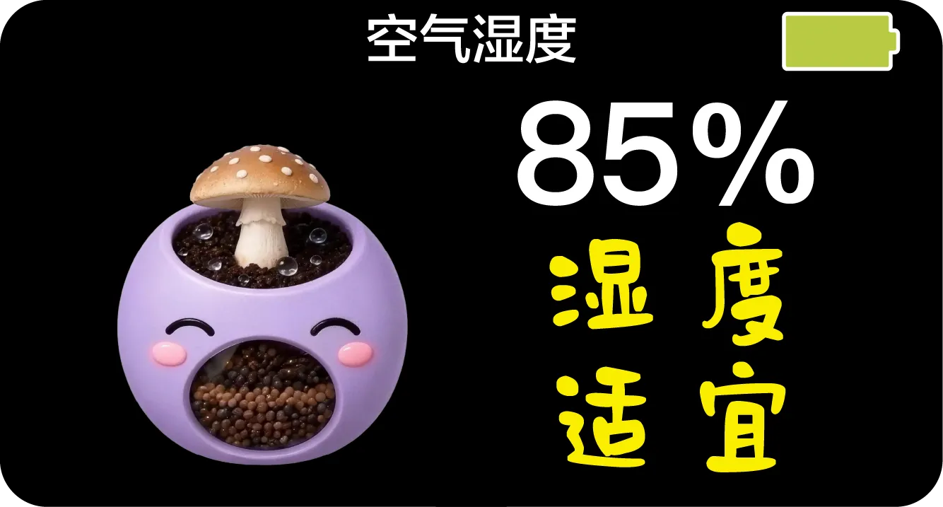 设备屏幕显示空气湿度 85%，湿度适宜